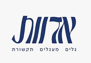 מרכזי הסימולציה