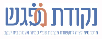 מרכזי הסימולציה