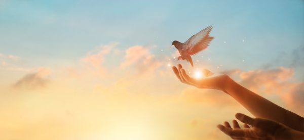 מומחיות מהספרים: 🖐 ידיים שמדברות: כוחן של מחוות בלמידה ובשפה