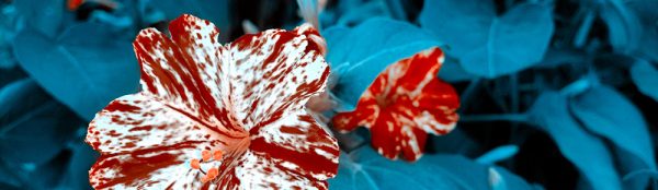 "(לא) רק על עצמי לספר ידעתי" כנס אוטואתנוגרפיה ומחקר עצמי־חברתי־יצירתי